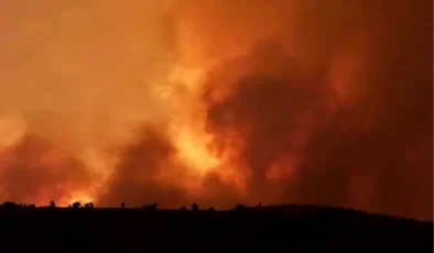 Diyarbakır-Mardin arasında çıkan yangınla ilgili KESK’ten açıklama