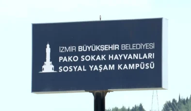 İzmir Büyükşehir Belediyesi’nden Sahipsiz Hayvanlara Destek