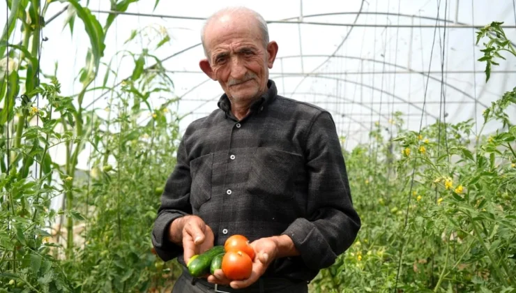 Bayburt’ta 74 yaşındaki çiftçi ata tohumlarıyla organik tarım yapıyor