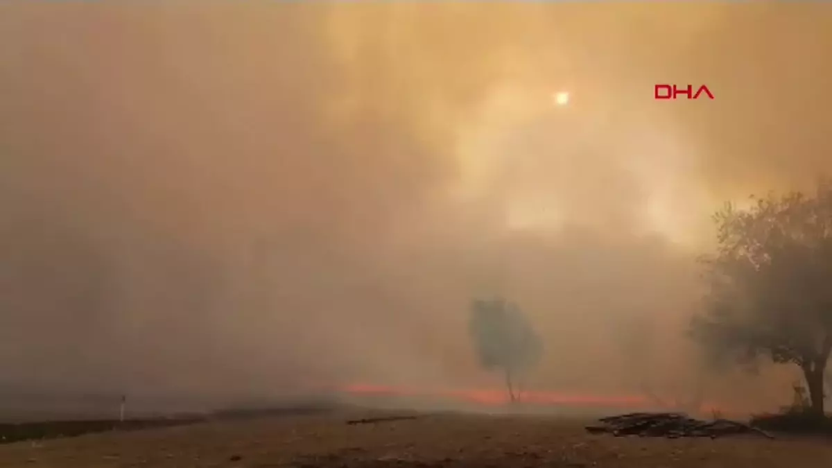 Aksaray’da Yangın, 50 Dekar Mera Alanı Zarar Gördü