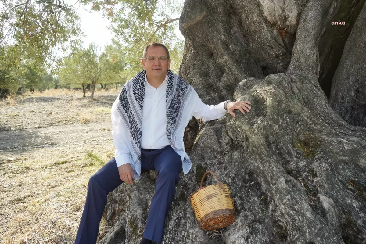 Ayvalık’ta Dünya Zeytin Ağacı Günü Kutlaması