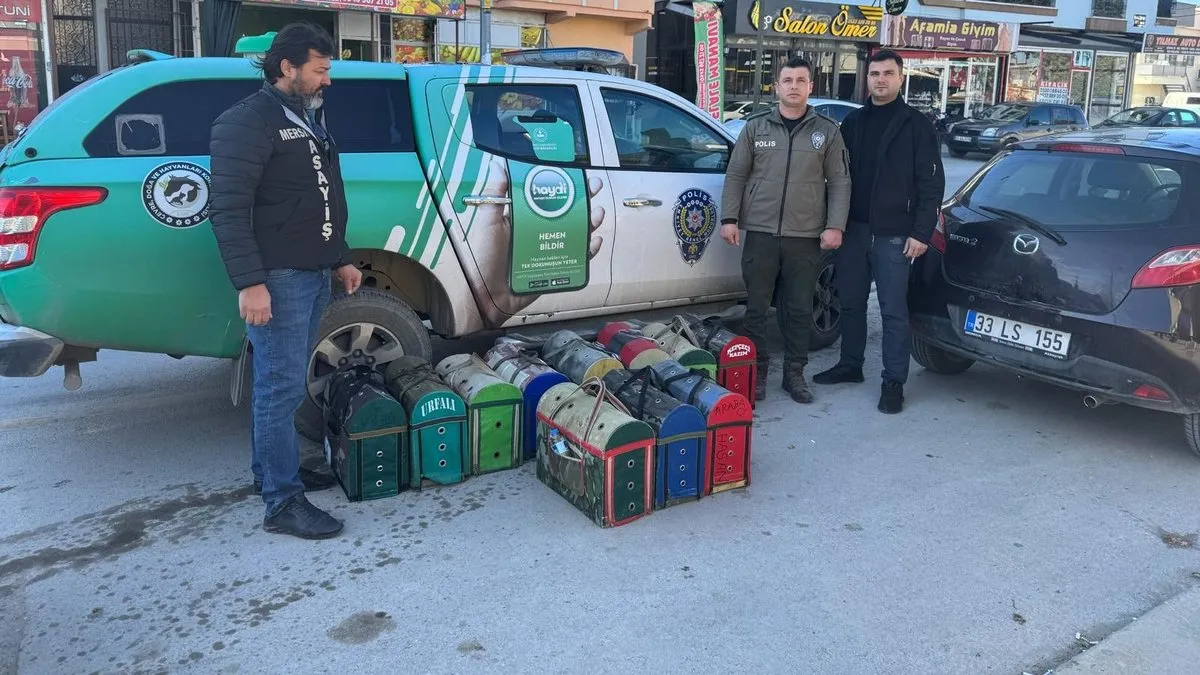 Tarsus’ta horoz dövüşü üzerinden bahis oynatan ve oynayan 128 kişiye 1 milyon 194 bin lira ceza yazıldı